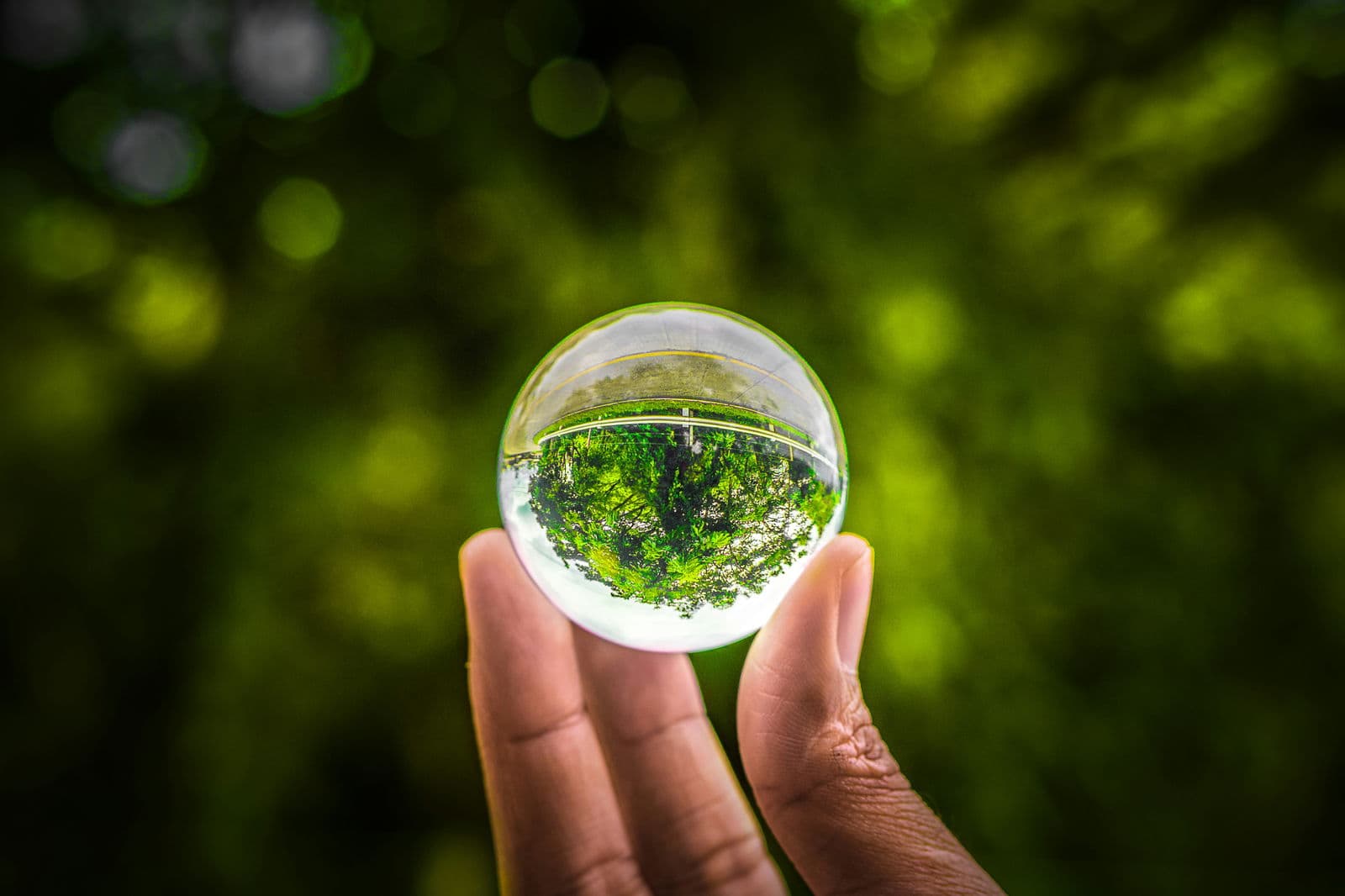 illuminem x HEC Paris Greentech University course: developing the next generation of sustainability leaders
