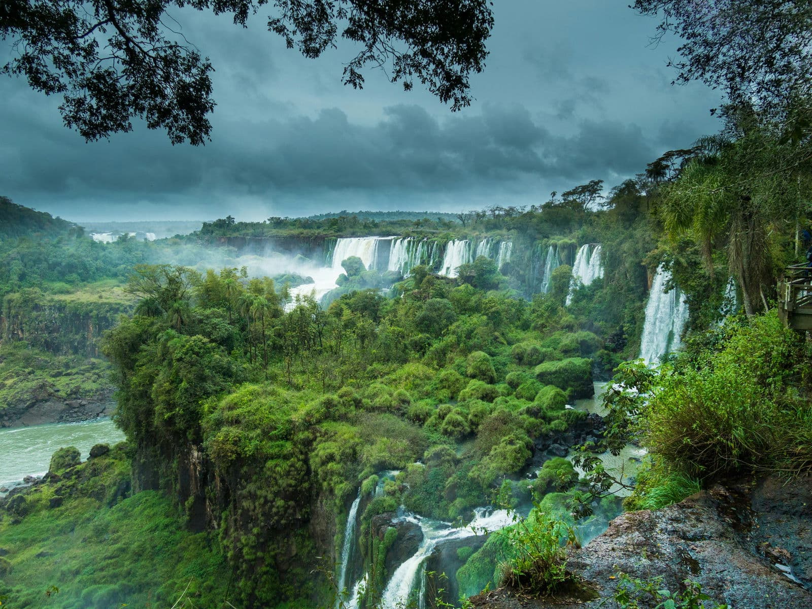 Latin America: Seizing the nature-based economy opportunity