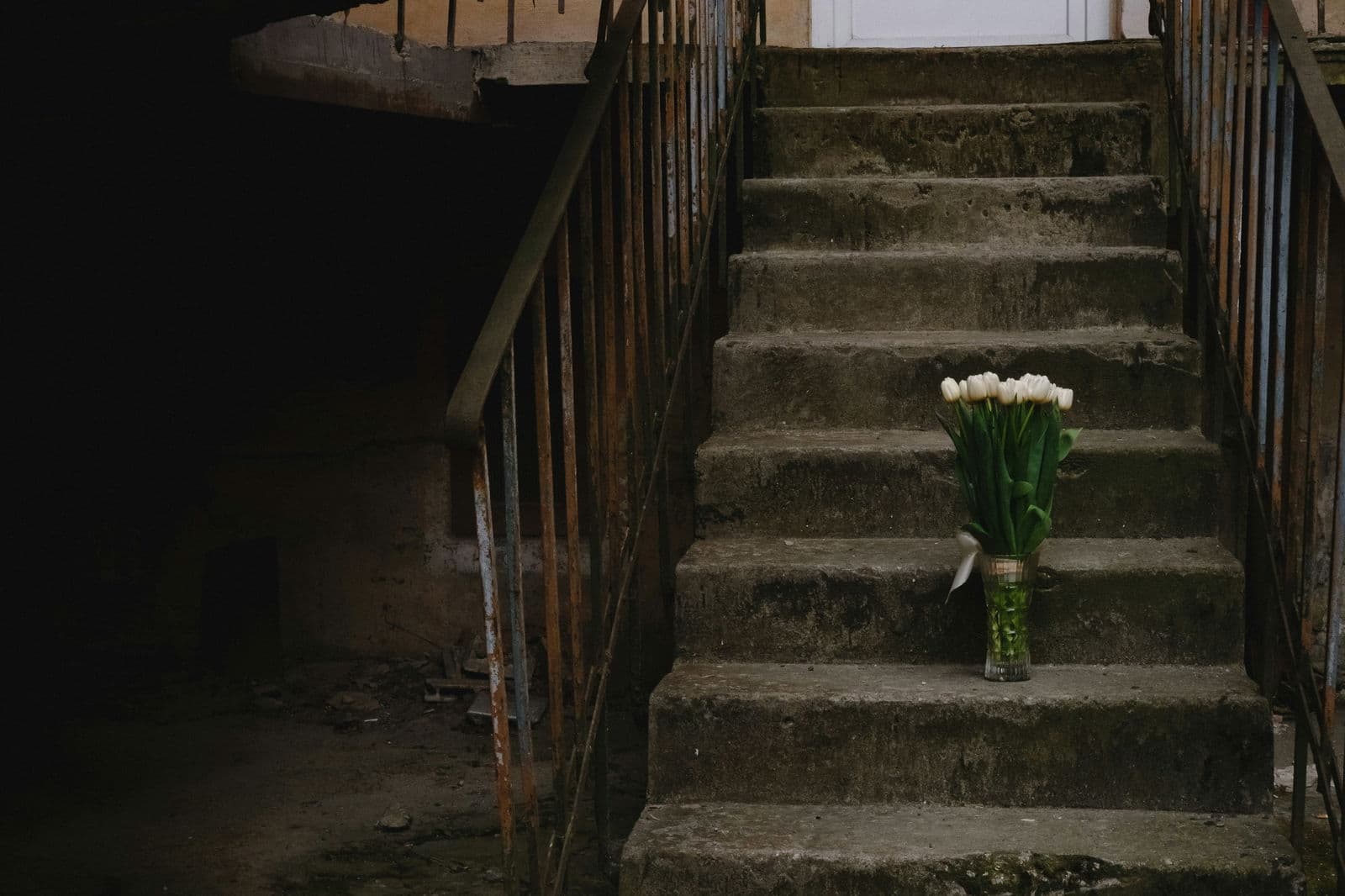 Why a business veteran is joining the sustainability conversation (and what I bring that you won't find elsewhere)