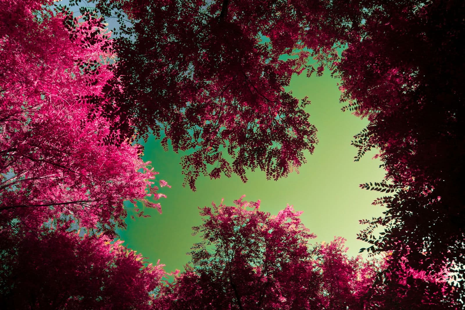 ESG algorithms are coming — will they be fair?