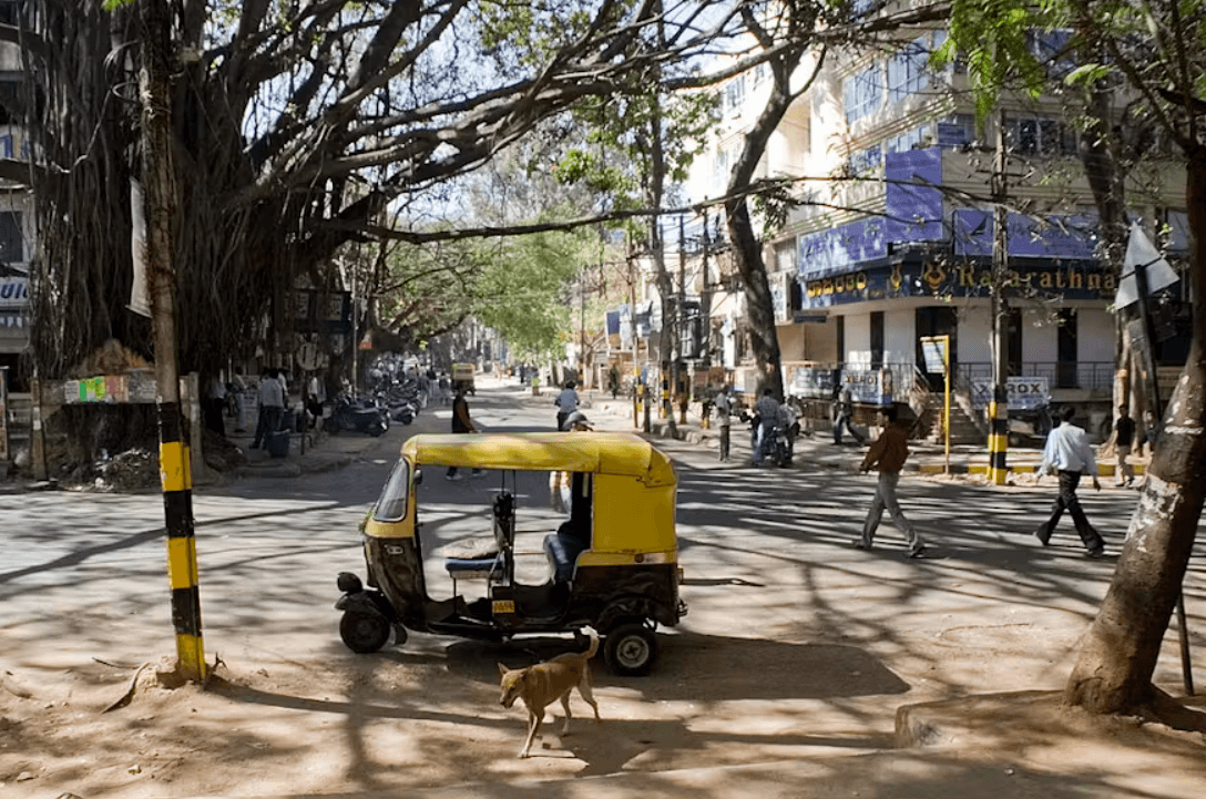 When cities were Nature’s haven: a tale from Bangalore