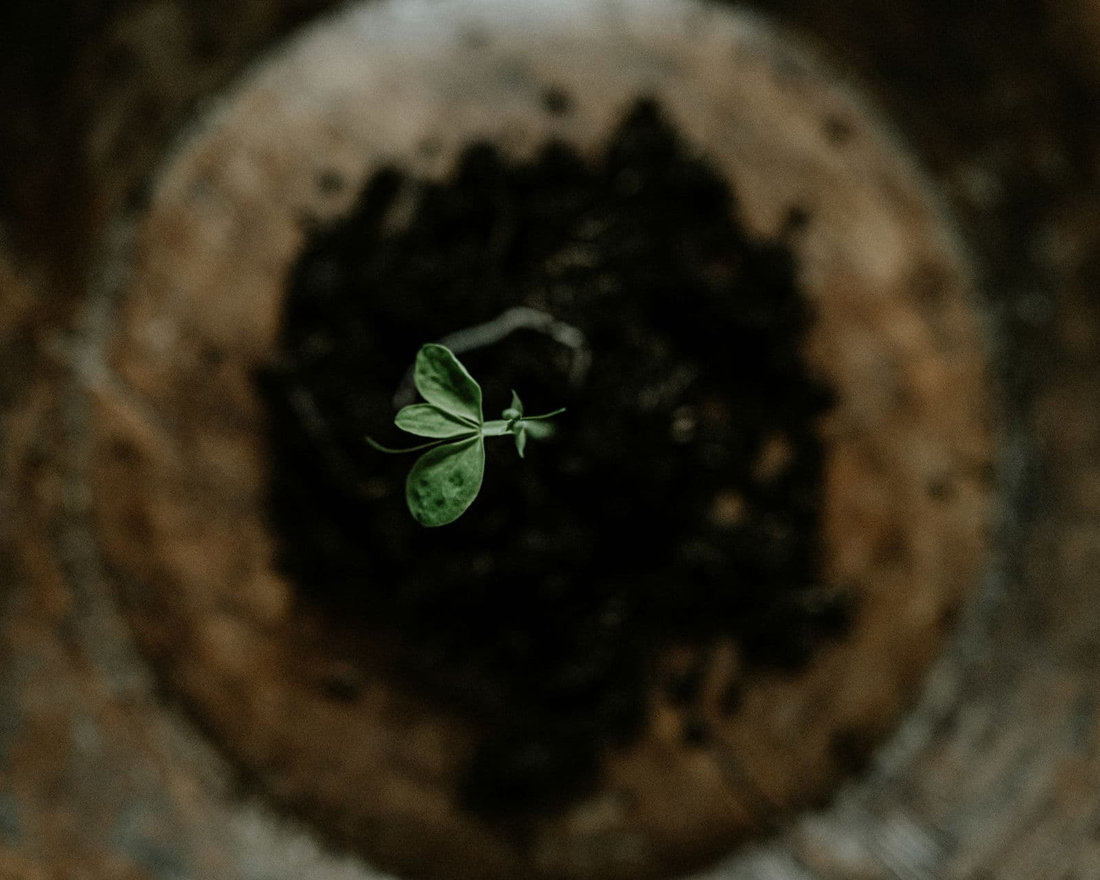 What’s next for corporate sustainability