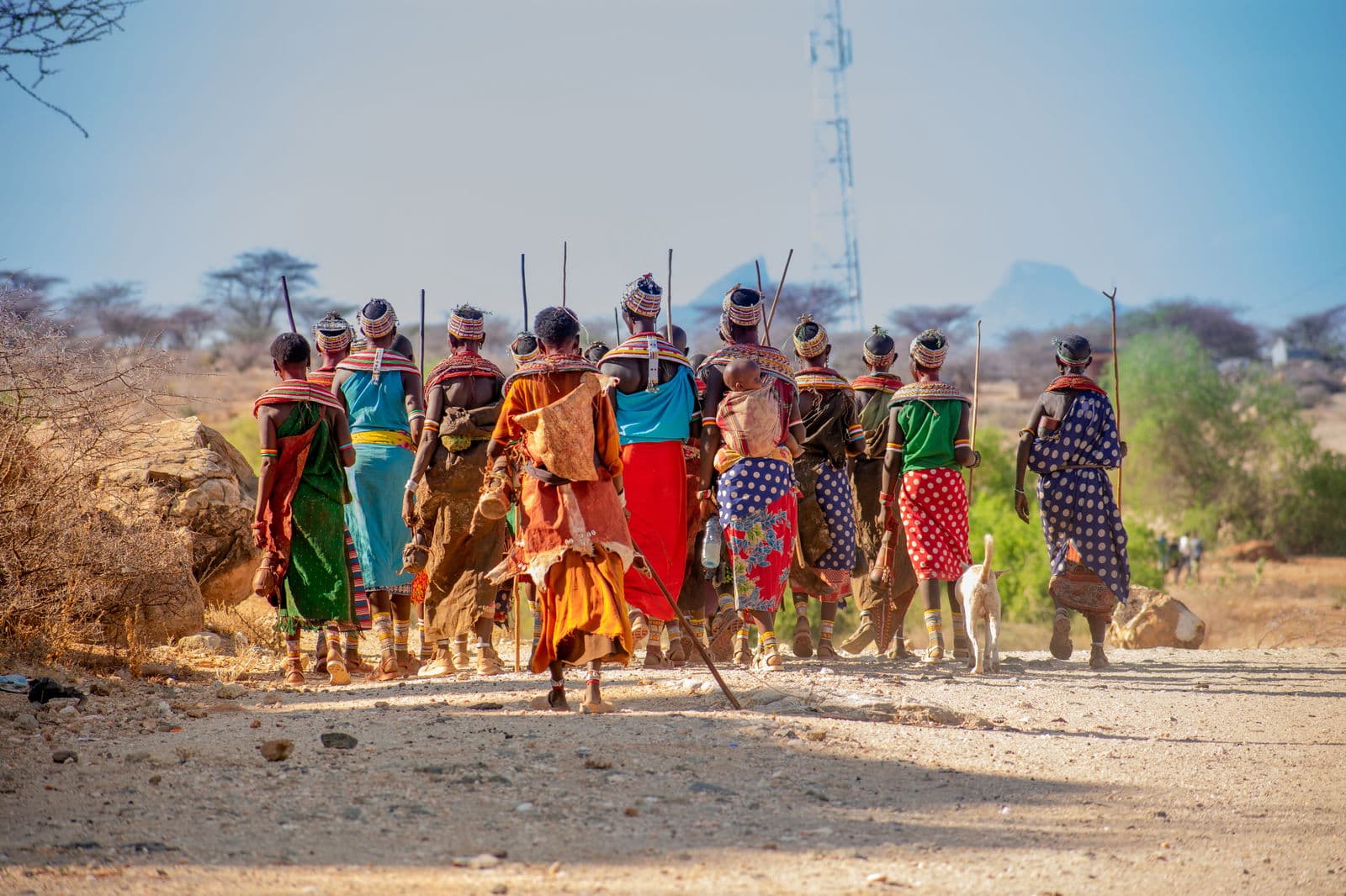 Invisible women in energy: millions of household biomass producers