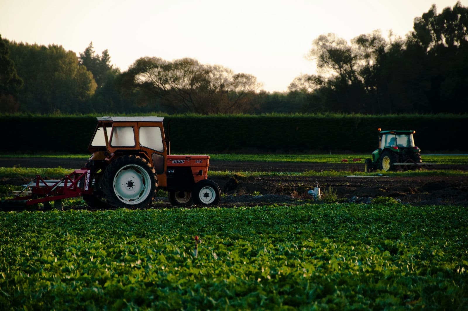 Organic waste has enormous potential in Europe