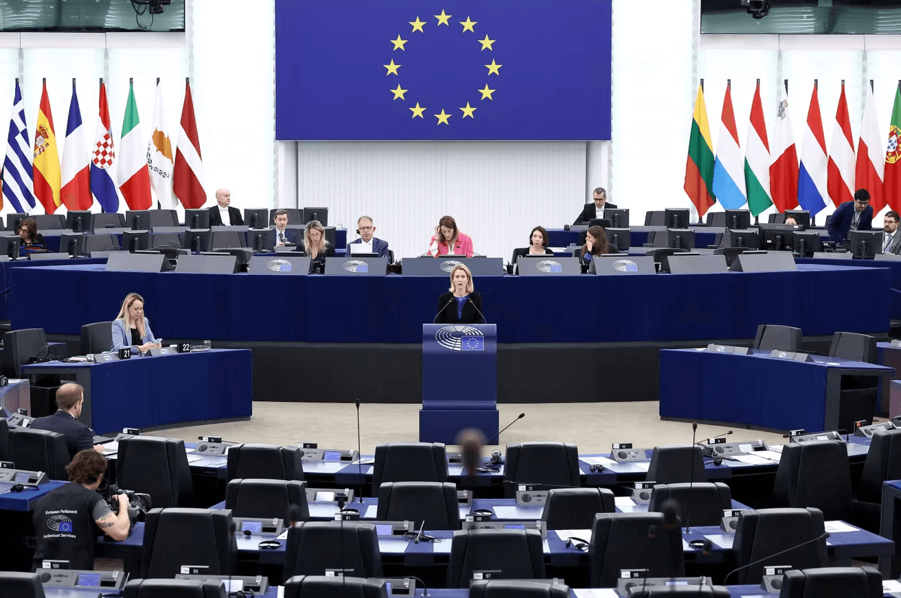 Green deal: The line between simplification and deregulation is thin