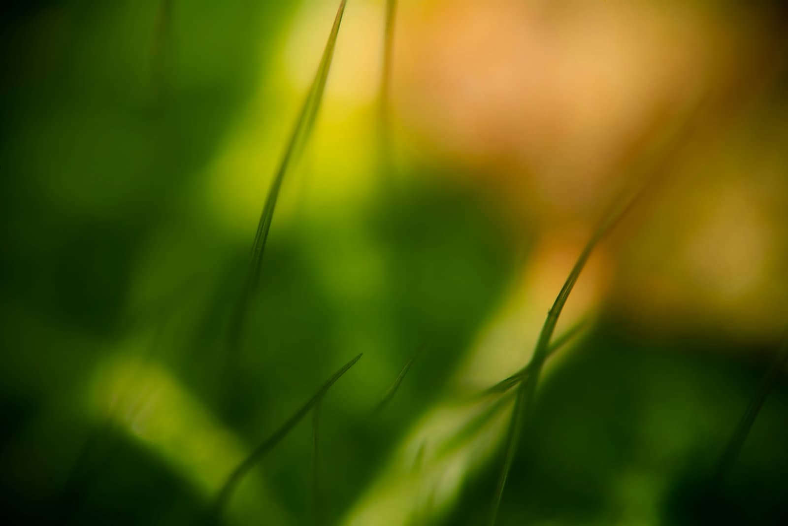 From expense to asset: Why carbon removal finally makes financial sense