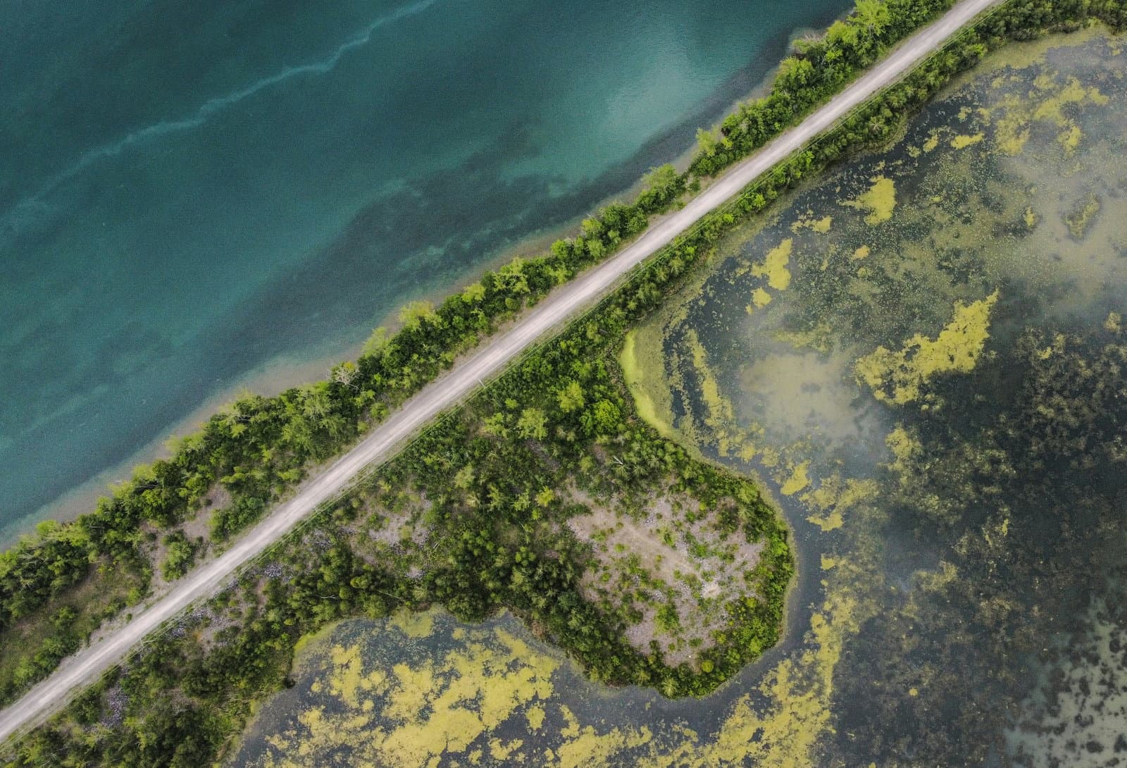 Financing restoration: An exploration of solutions