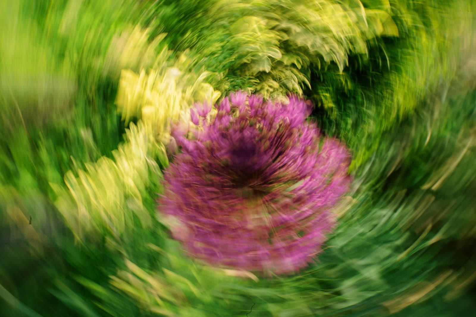 Book Review: Becoming Nature Positive
