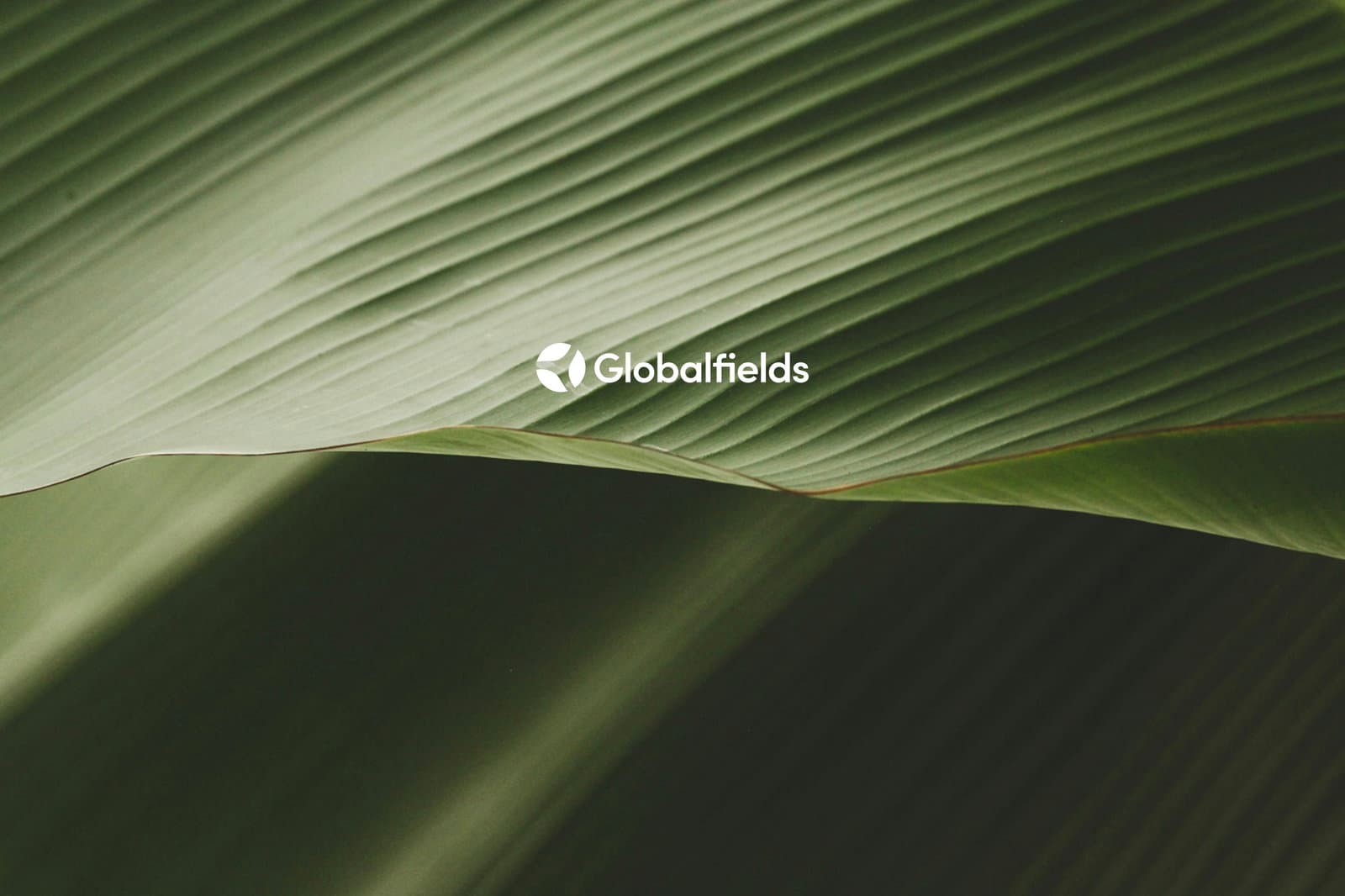 Sustainable Finance Guide: everything you need to know in one place