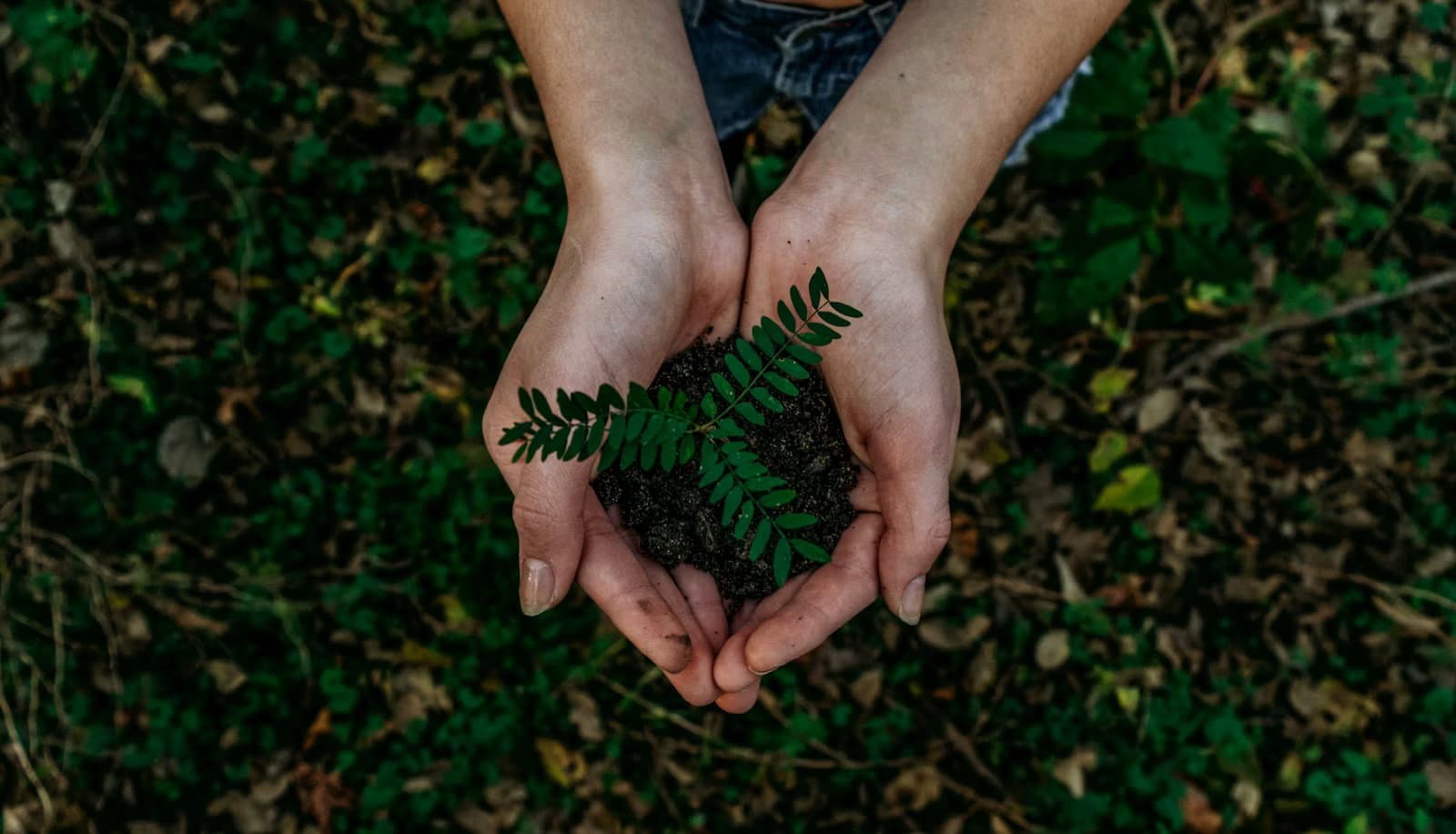 5.1.1 Exclusive take: Why law still determines whether sustainable finance works