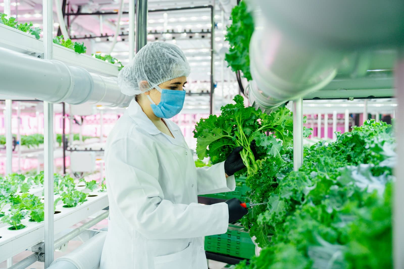 For an agriculture that regenerates the soil and the economy