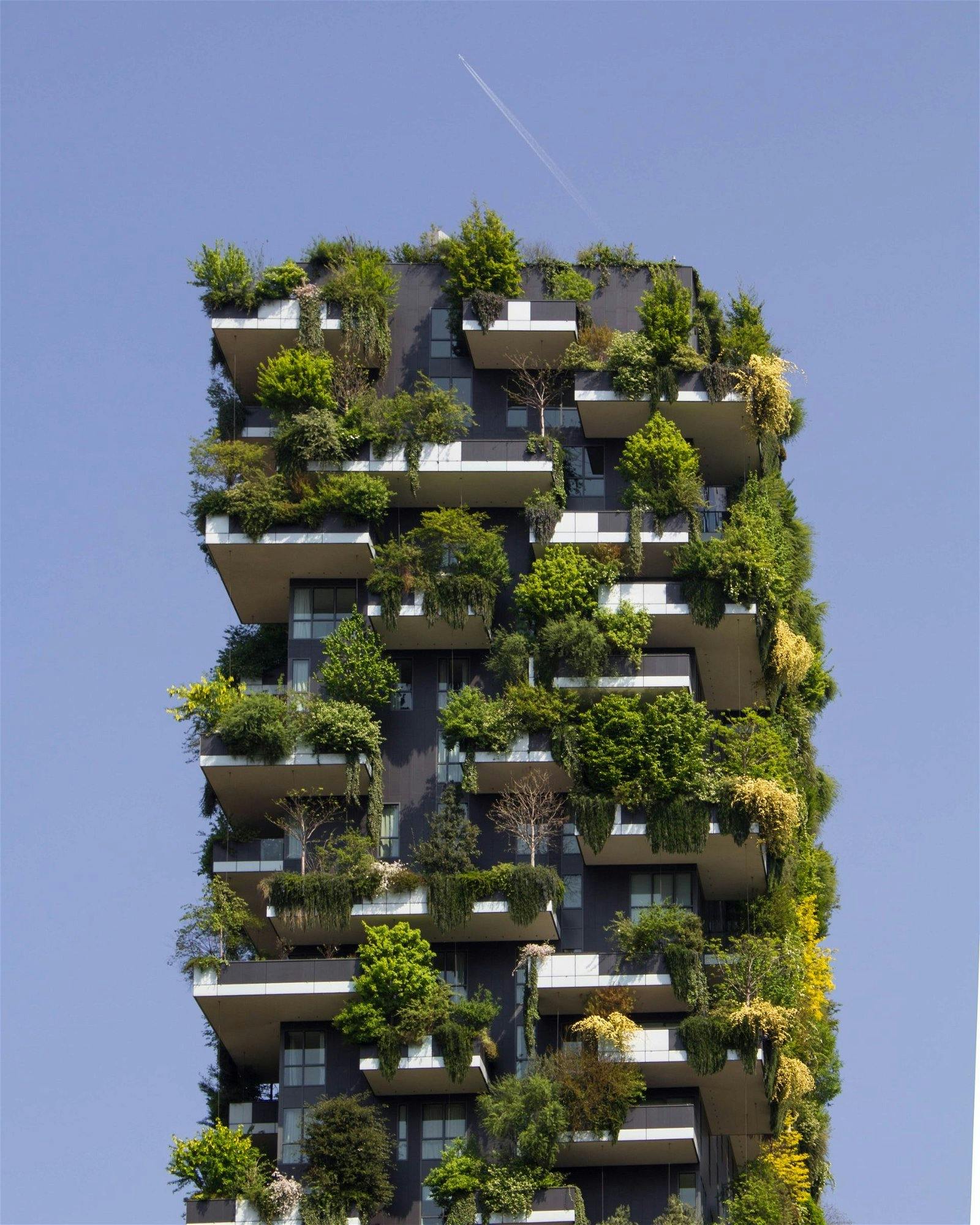 Bioclimatic Architecture Is there a way that a large city turns greener and sustainable?