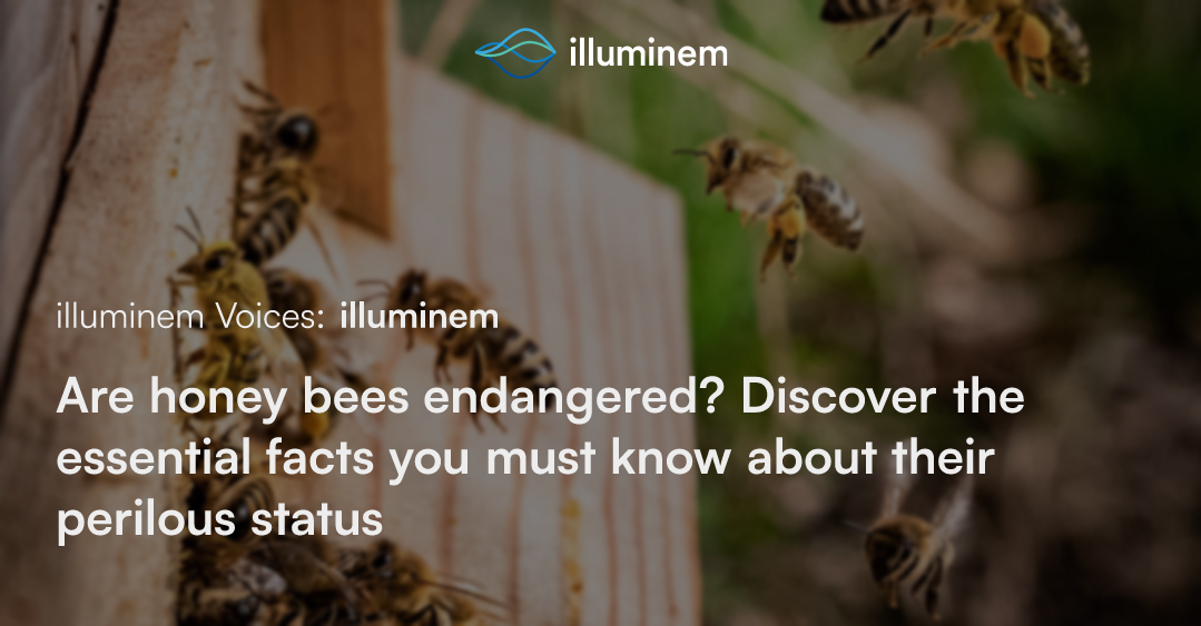 Are honey bees endangered? Discover the essential facts you must know