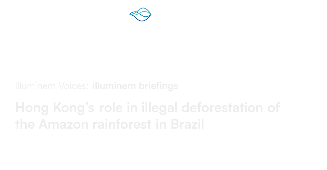 Hong Kong’s role in illegal deforestation of the Amazon rainforest in ...