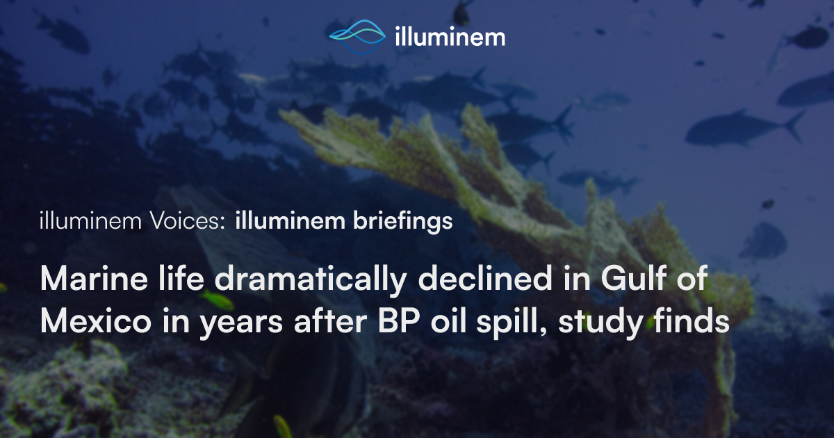 Marine life dramatically declined in Gulf of Mexico in years after BP ...