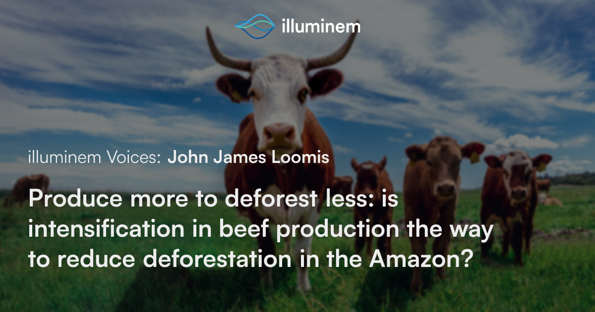 Produce more to deforest less: is intensification in beef production ...
