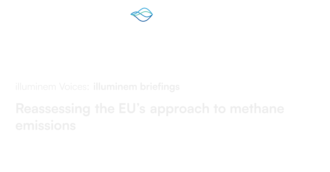 Reassessing the EU’s approach to methane emissions illuminem