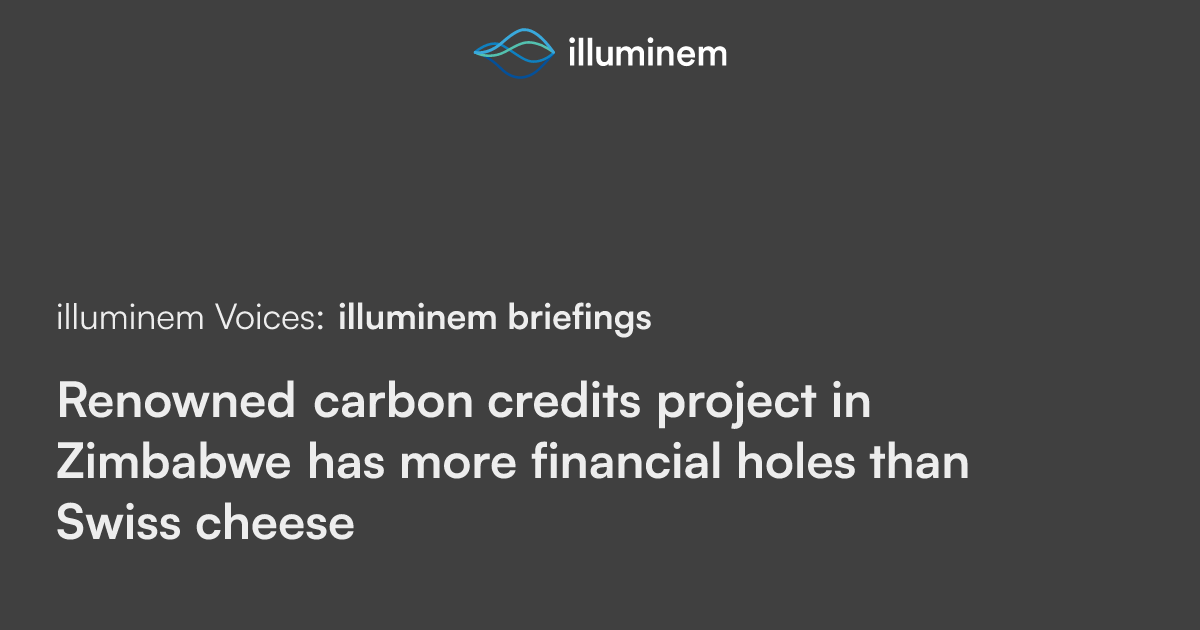 Renowned carbon credits project in Zimbabwe has more financial holes ...