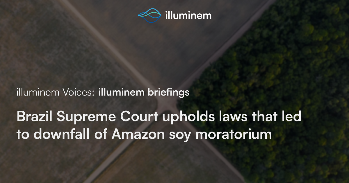 brazil-supreme-court-upholds-laws-that-led-to-downfall-of-amazon-soy