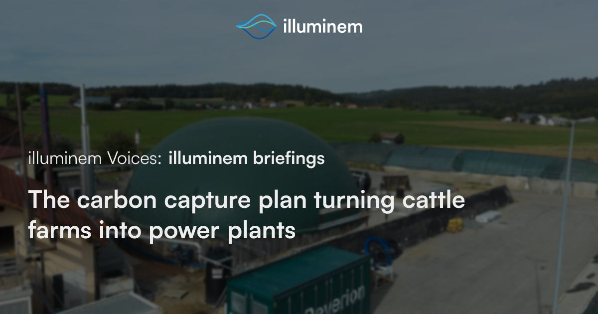 The carbon capture plan turning cattle farms into power plants | illuminem