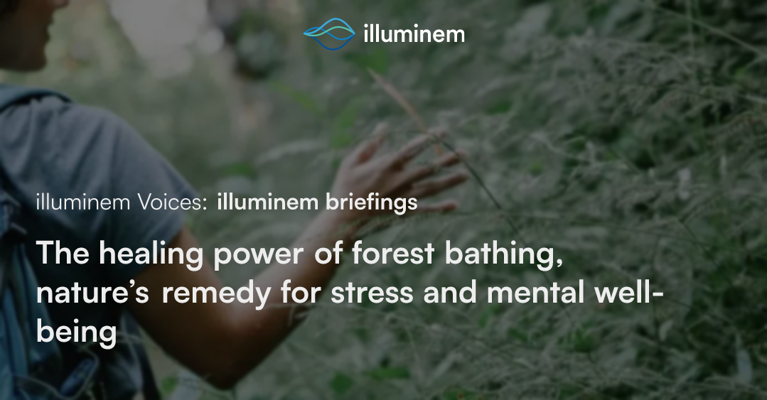 The Healing Power Of Forest Bathing, Nature’s Remedy For Stress And ...