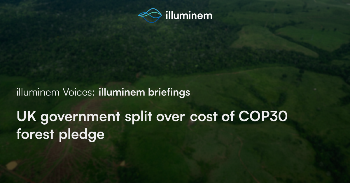 UK government split over cost of COP30 forest pledge | illuminem