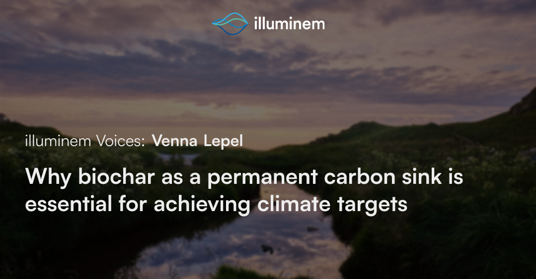 Why biochar as a permanent carbon sink is essential for achieving climate targets